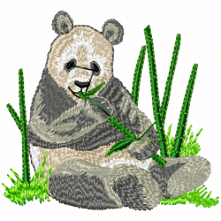 Teddy Embroidery Design 8